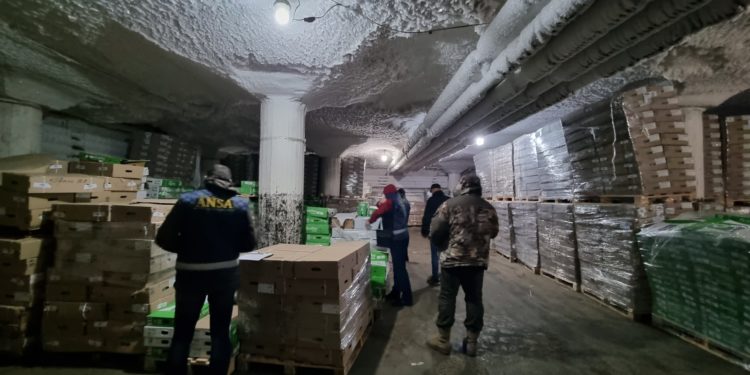 Aproape un mil. de ouă cu salmonella, tone de pește cu paraziți și sfeclă plină cu nitrați: Inspectorii ANSA au descins cu verificări inopinate la magazine și depozite din țară