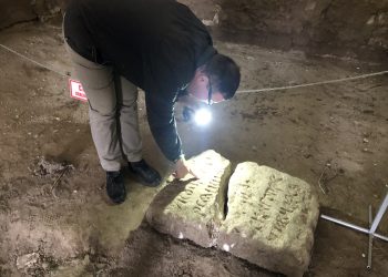 В Молдове при раскопках нашли зубы мамонта, фигурку женщины и костяной нож возрастом 5000 лет