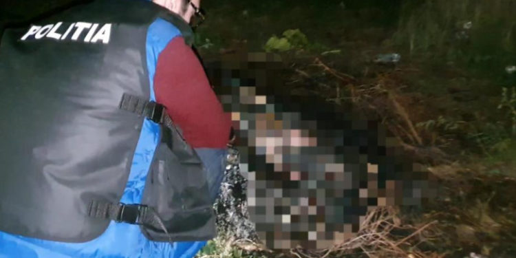 În Romînia un bărbat a fost reținut după ce i-a dat foc câinelui și l-a ucis pentru că era prea gălăgios