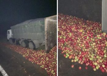 Un camion plin cu mere s-a răsturnat pe traseu, în raionul Rîșcani. Încărcătura s-a împrăștiat pe toată șoseaua | VIDEO