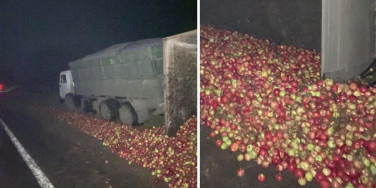 Un camion plin cu mere s-a răsturnat pe traseu, în raionul Rîșcani. Încărcătura s-a împrăștiat pe toată șoseaua | VIDEO