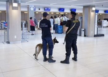 Водительские права – призрак: в аэропорту задержан владелец несуществующего документа