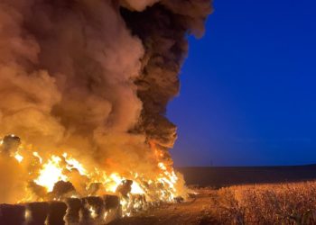 Incendiu de proporții pe strada Uzinelor din capitală. Opt echipe de pompieri, la fața locului