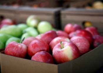 Rosselhozdnadzor anunță că producătorii agricoli din Orhei  își vor putea vinde fructele și legumele pe piața rusească | VIDEO