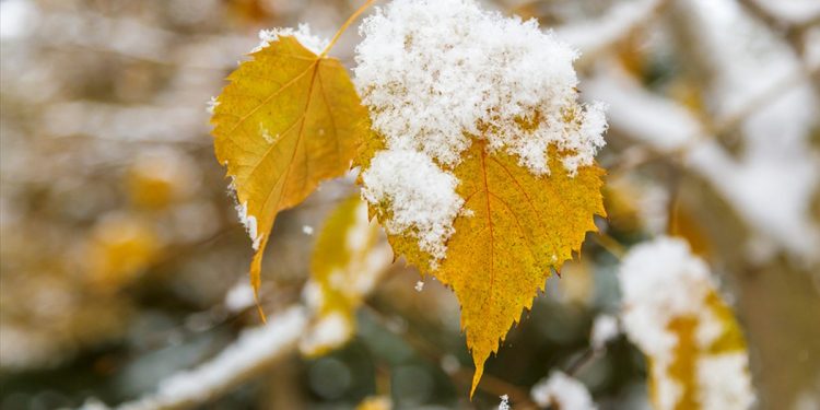 На севере Молдовы выпал первый снег
