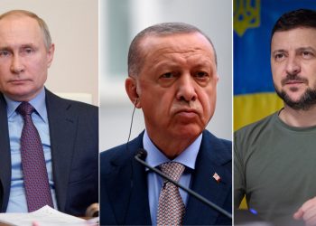 Эрдоган анонсировал переговоры с Путиным и Зеленским