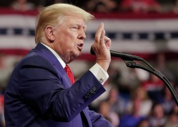 Трамп назвал итоги промежуточных выборов в США большой победой для себя