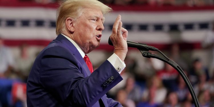 Трамп назвал итоги промежуточных выборов в США большой победой для себя