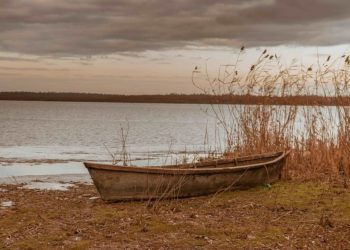 В Молдове предупредили о росте уровня воды в Днестре