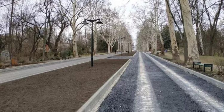 Un bărbat, găsit spânzurat în parcul Valea Trandafirilor