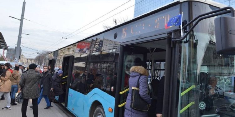 Из Кишинева в Сынжеру вместо троллейбуса будет ходить автобус