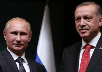 Эрдоган и Путин договорились отправить первую партию зерна в Сомали, Судан и Джибути