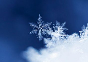Primii fulgi de zăpadă au căzut în nordul țării: Prognozele meteorologilor și declarațiile Administrației de Stat a drumurilor | VIDEO