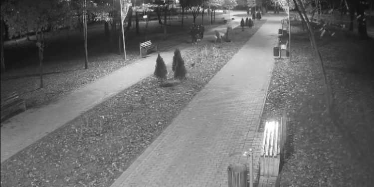 Vandalism în Parcul Alunelul: Mai mulți tineri au răsturnat tomberoanele și au tras de arbuști. Suspecții au fost prinși