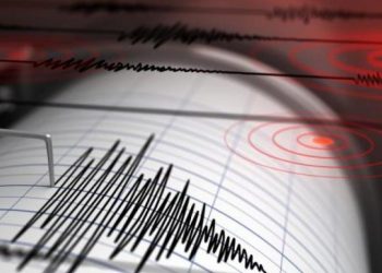 Cutremur în zona seismică Vrancea