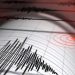 Cutremur în zona seismică Vrancea