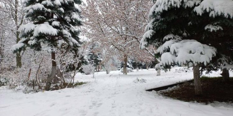 Iarna își intră în drepturi cu ninsori la nordul și sudul țării. Vezi imaginile postate de internauți