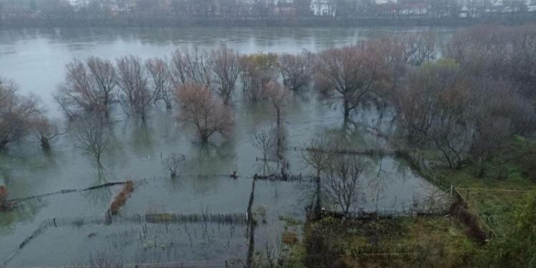 Inundații la Otaci, după ce apele Nistrului au dat năvală în grădinile oamenilor: Nivelul râului ar putea crește cu încă 4 metri