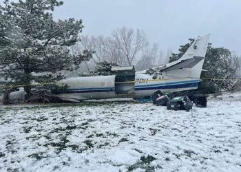 В США разбился самолет с десятками собак на борту | FOTO