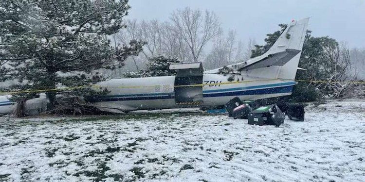 В США разбился самолет с десятками собак на борту | FOTO