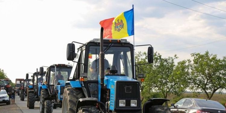 „Forța Fermierilor”, nemulțumită de acțiunile Guvernului: Nu putem tolera bătaia de joc birocratică față de ramura strategică