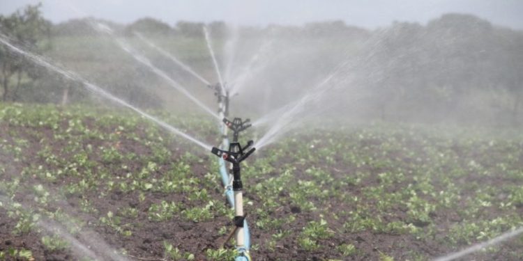 „Se atestă un deficit semnificativ de precipitații”. Asociația „Forța Fermierilor cere Guvernului să aprobe urgent strategia de irigare | VIDEO