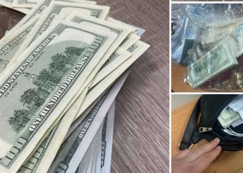 Попытка не удалась: на таможне Леушен конфискованы драгоценности и деньги