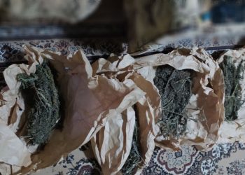 Captură de droguri estimată la circa 400 de mii de lei, ridicată la Edineț