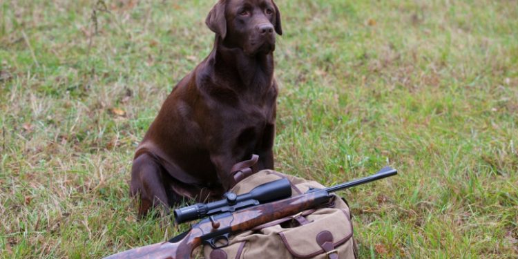 Un bărbat din Turcia a fost împuşcat mortal de propriul câine, în timp ce se pregătea să meargă la vânătoare