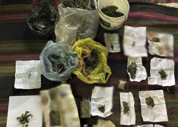 Droguri de peste 100 000 de lei, depistate la domiciliul unui bărbat din Edineț