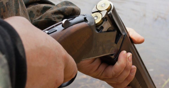 В Чадыр-Лунге охотники нанесли ущерб на 30 тыс. леев, превысив норму отстрела | VIDEO