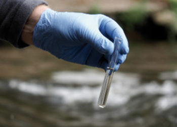 Агентство окружающей среды сообщило о загрязнении Днестра нефтепродуктами
