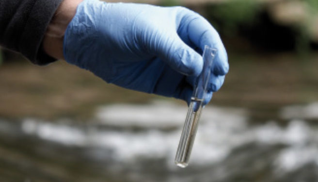 Агентство окружающей среды сообщило о загрязнении Днестра нефтепродуктами