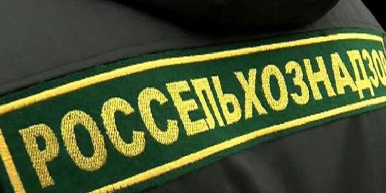 „Rosselhoznadzor”: Consultările Partidului „ȘOR” cu Duma de Stat au dus la deblocarea exporturilor | VIDEO