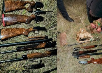 Ar fi încercat aducă în Moldova arme furate din Austria. Suspectul, prins de polițiștii de frontieră după ce a trecut Prutul înot | VIDEO