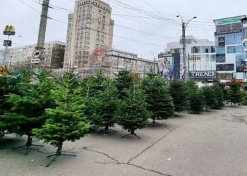 Târgurile de brazi din capitală, luate cu asalt de locuitori: La ce preț poate fi cumpărat unul din principalele sibboluri ale Crăciunului | VIDEO