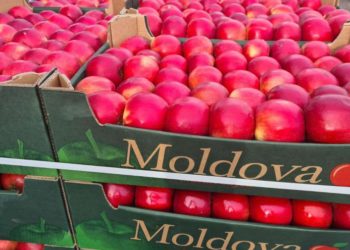 Ședință cu participarea a 40 de producători agricoli, la Orhei. Ilan Șor a stabilit mecanismul de reluare a exporturilor pe piața rusă | VIDEO