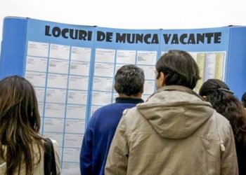 Aproape o mie de refugiați din Ucraina s-au angajat la muncă în R. Moldova. Care sunt cele mai solicitate specialități | VIDEO