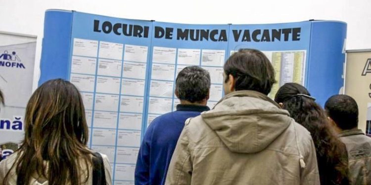 Aproape o mie de refugiați din Ucraina s-au angajat la muncă în R. Moldova. Care sunt cele mai solicitate specialități | VIDEO