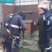 O femeie de 68 de ani a căzut într-o fântână cu adâncimea de 8 metri. A fost nevoie de ajutorul pompierilor