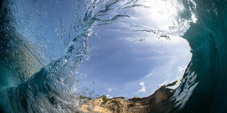 Ученые бьют тревогу: Мировой океан нагрелся до рекордного уровня