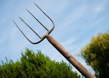 В Каменке мужчина с вилами набросился на соседа