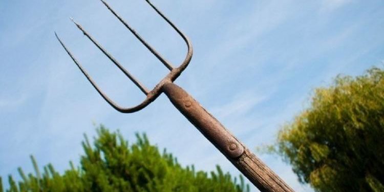 В Каменке мужчина с вилами набросился на соседа