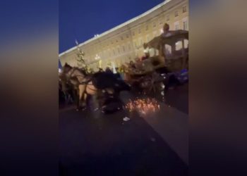Испуганная лошадь врезалась в толпу в центре Петербурга, трое пострадали