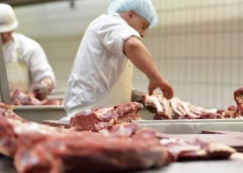 В офисах компании крупнейшего импортера мяса в Молдову проходят обыски