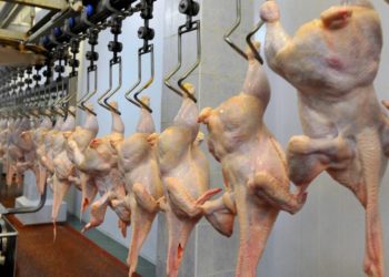 В Молдове отозвали из продажи партию индюшиного мяса