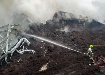 Уточнения природоохранного агентства в связи с пожарами в порту Джурджулешты