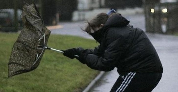 В Молдове объявлен «желтый код» в связи с сильным ветром