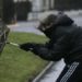 В Молдове объявлен «желтый код» в связи с сильным ветром