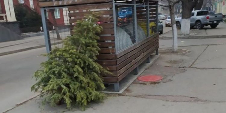 Ce faci cu pomii de Crăciun, după ce au trecut sărbătorile? Află unde-i duci pentru reciclare